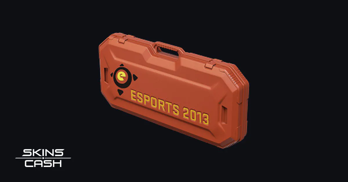 eSports 2013 Case CS2 skin