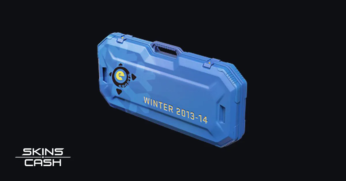 eSports 2013 Winter Case CS2 skin