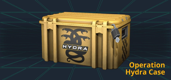 Operation Hydra Case