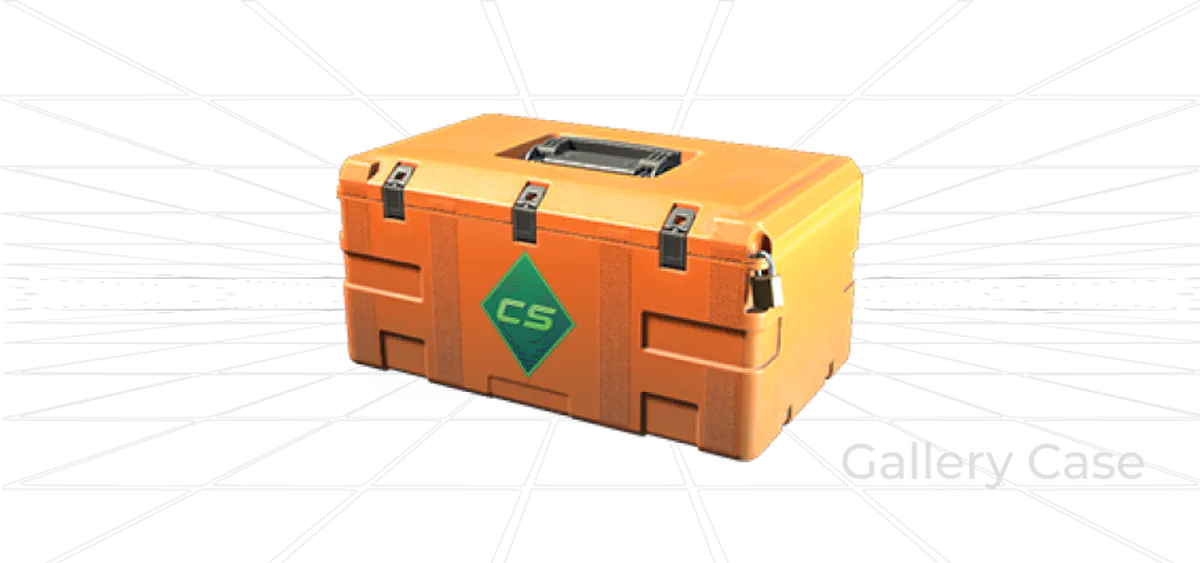 Gallery Case CS2
