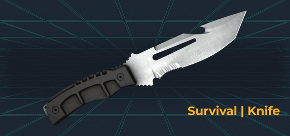Survival _ Knife csgo skin