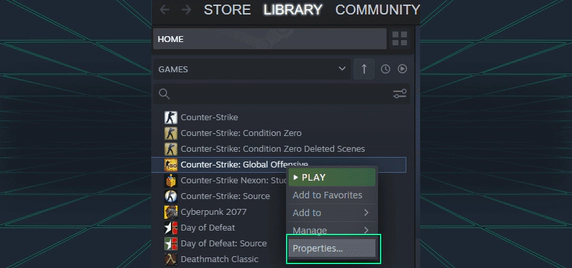 csgo steam options