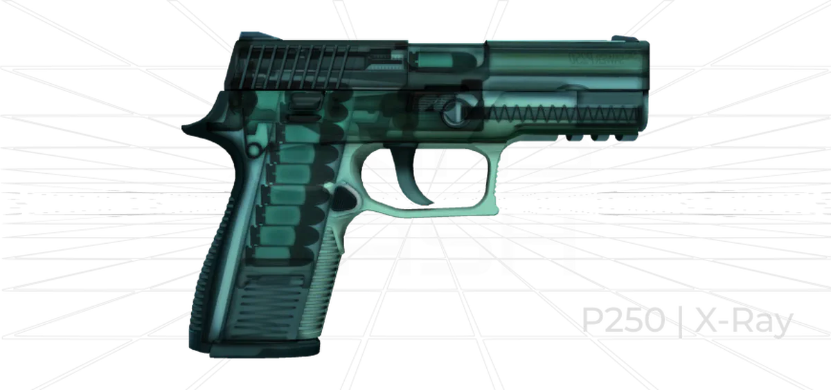 P250 X-Ray CS2 Skin