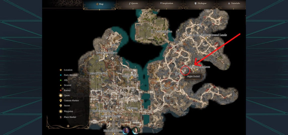 Where to Find Night Orchids in Baldur's Gate 3