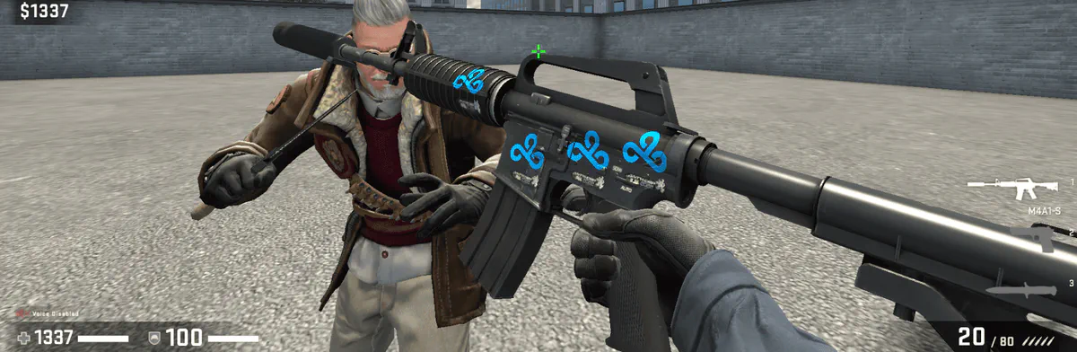change the location of my CS GO weapon