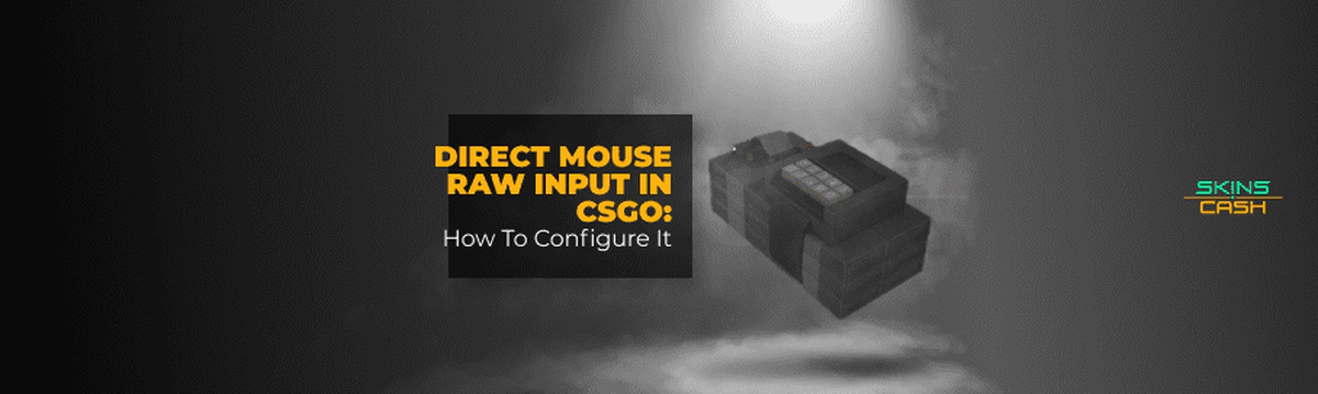 Direct Mouse Raw Input in CSGO: How To Configure It