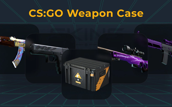 cs-go-weapon-case