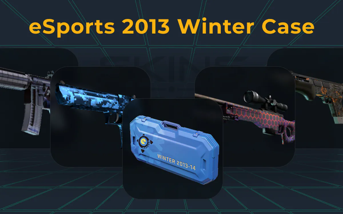 esports-2013-winter-case
