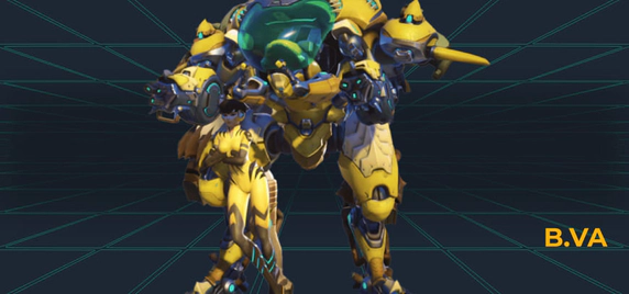 B.VA Skin