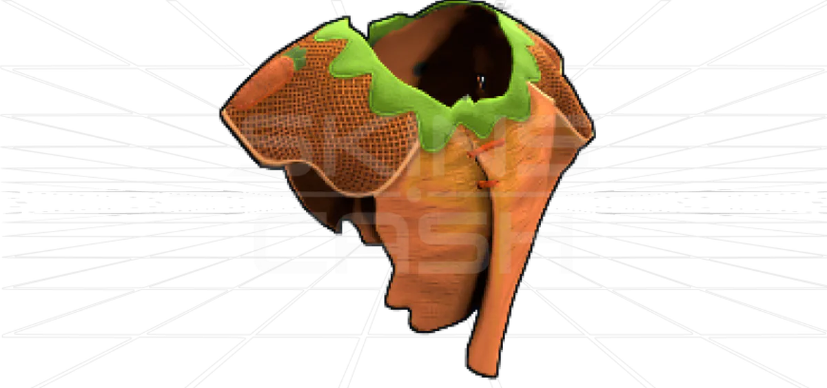 carrot-poncho