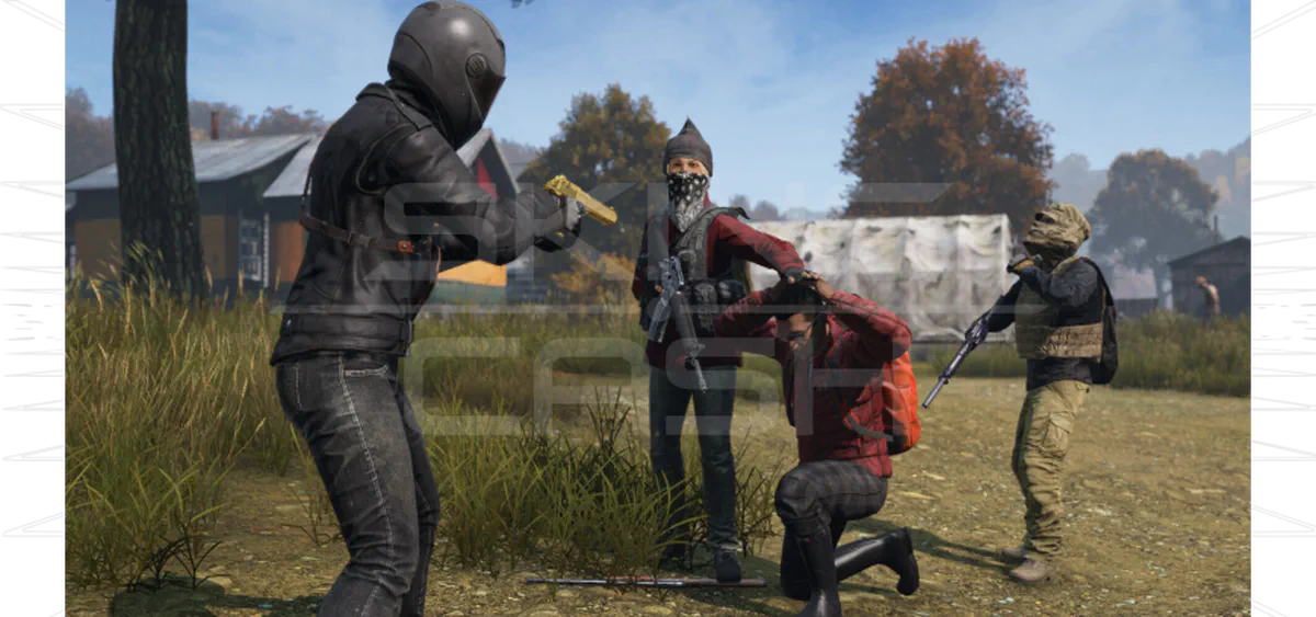 skins dayz and rust