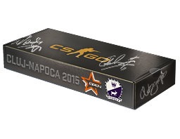 DreamHack Cluj-Napoca 2015 Cobblestone Souvenir Package image