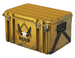 Winter Offensive Weapon Case image