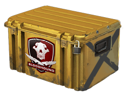 Falchion Case image