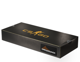 DreamHack 2013 Souvenir Package image
