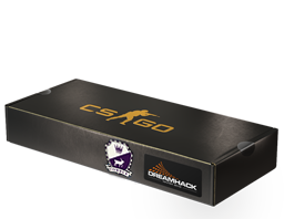 DreamHack 2014 Cobblestone Souvenir Package image