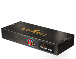 DreamHack 2014 Mirage Souvenir Package image