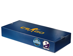 ESL One Cologne 2014 Cobblestone Souvenir Package image