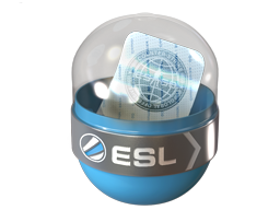 EMS Katowice 2014 Challengers image