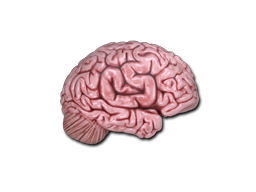 Sticker | CS On The Mind image