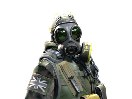 B Squadron Officer | SAS image