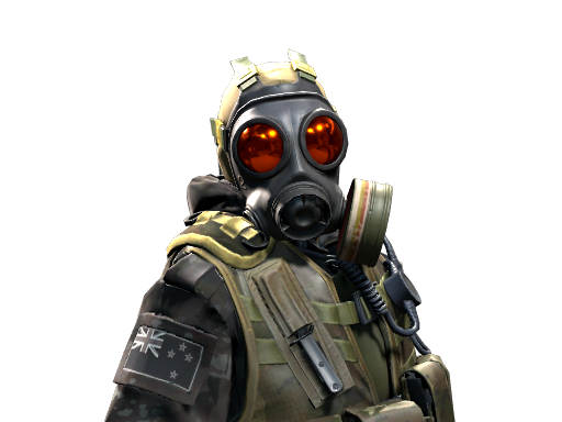 D Squadron Officer | NZSAS image