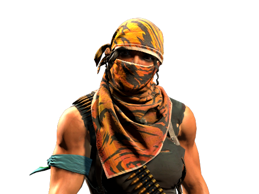 Trapper | Guerrilla Warfare image