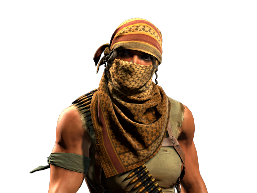 Trapper Aggressor | Guerrilla Warfare image