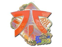 Sticker | Fnatic (Holo) | Rio 2022 image