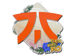 Fnatic | Rio 2022 image
