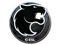 Sticker | FURIA (Foil) | Katowice 2019 image