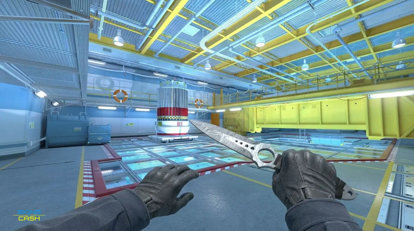 ★ Skeleton Knife | Damascus Steel — In-game inspect