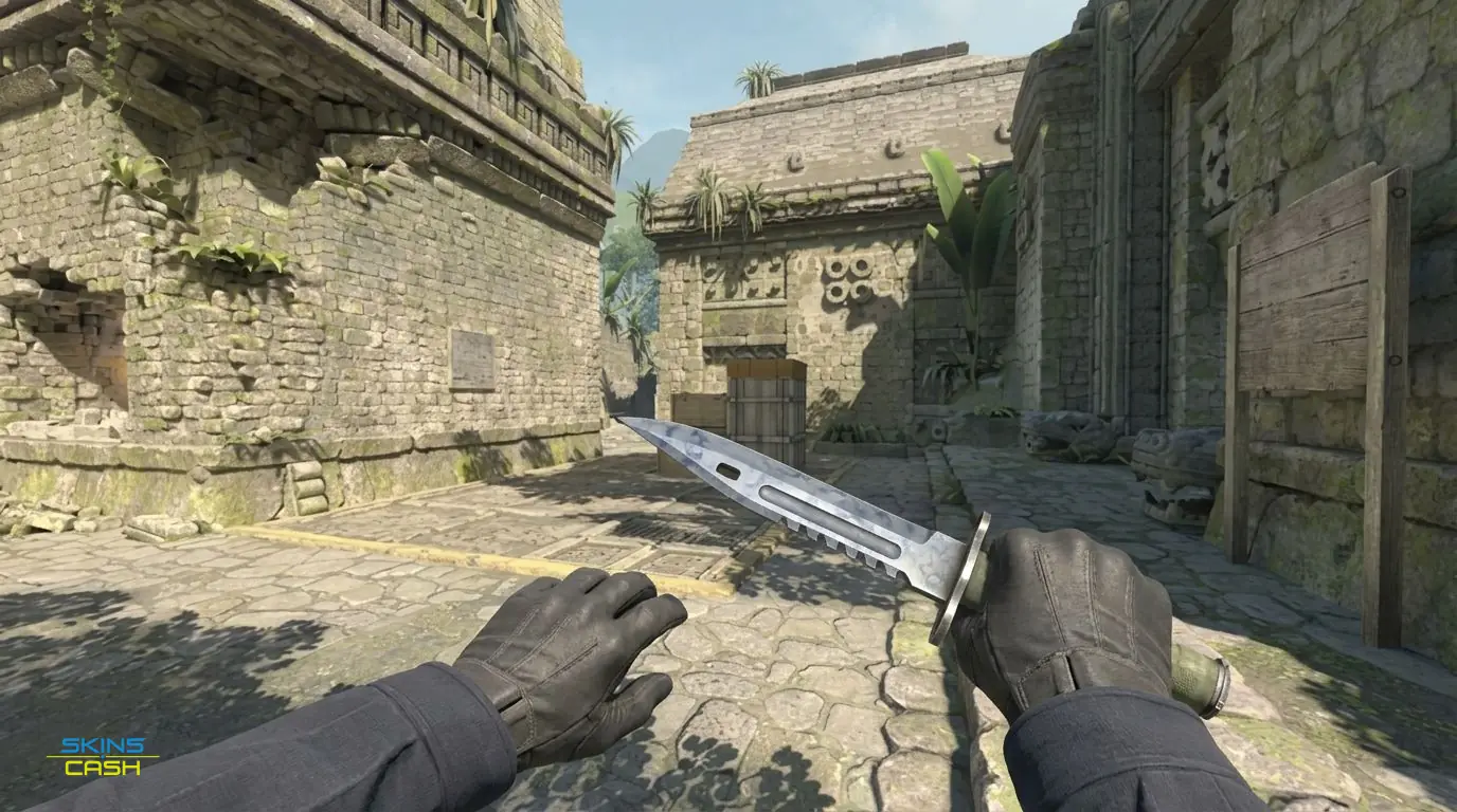 ★ Bayonet | Stained — In-game inspect