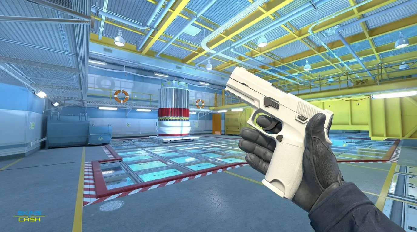 P250 | Whiteout — In-game inspect