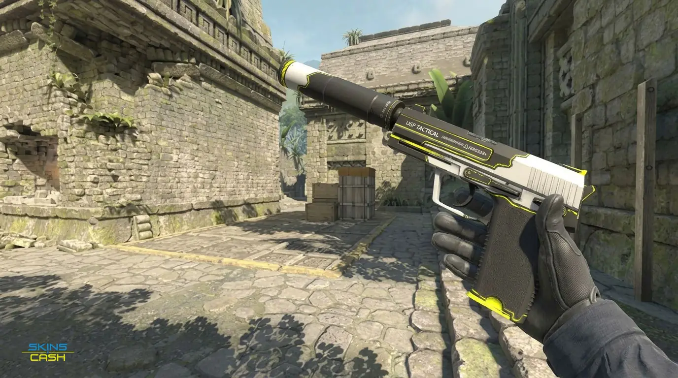 USP-S | Torque — In-game inspect