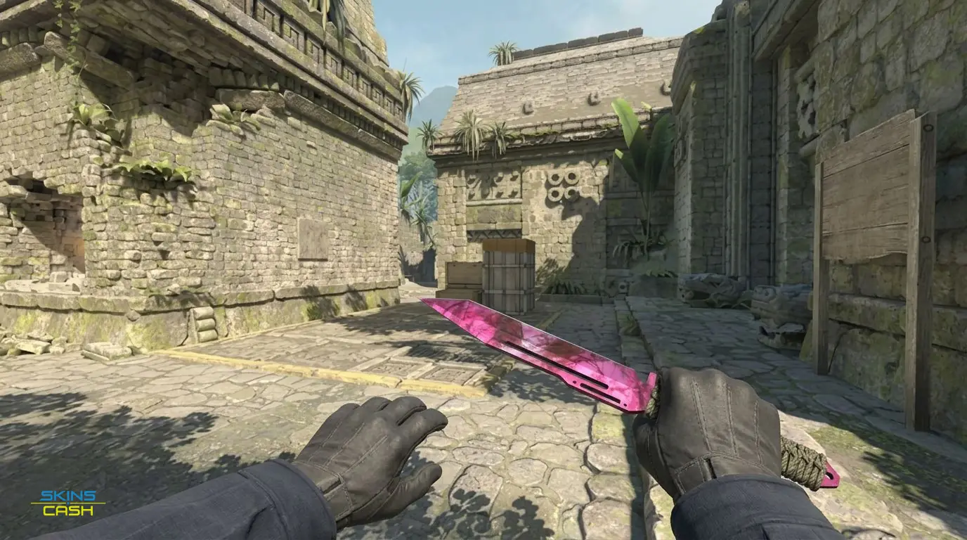 ★ Paracord Knife | Doppler Phase 2 — In-game inspect
