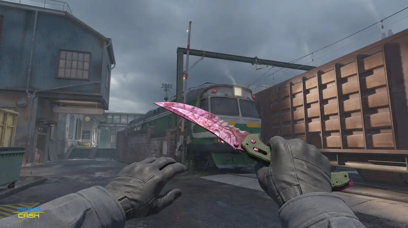 ★ Flip Knife | Doppler Phase 2 — In-game inspect