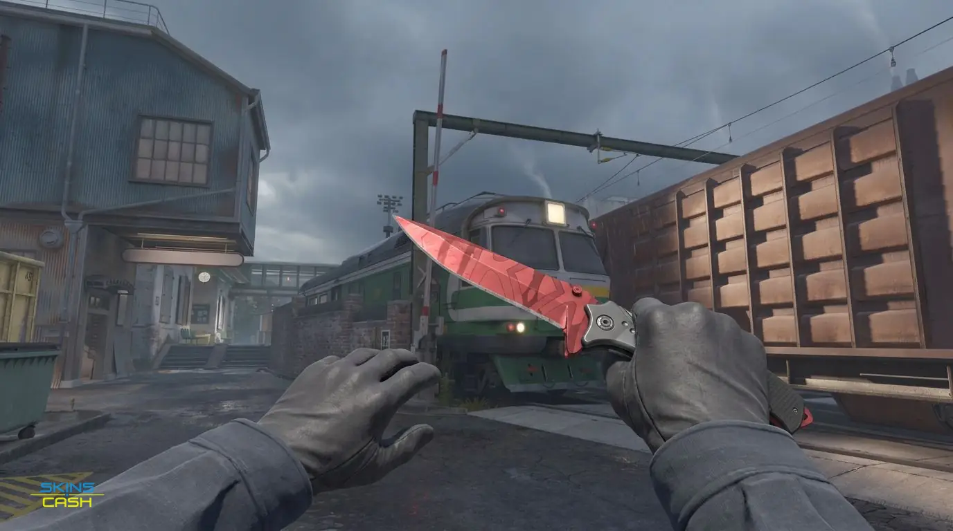★ Nomad Knife | Slaughter — In-game inspect