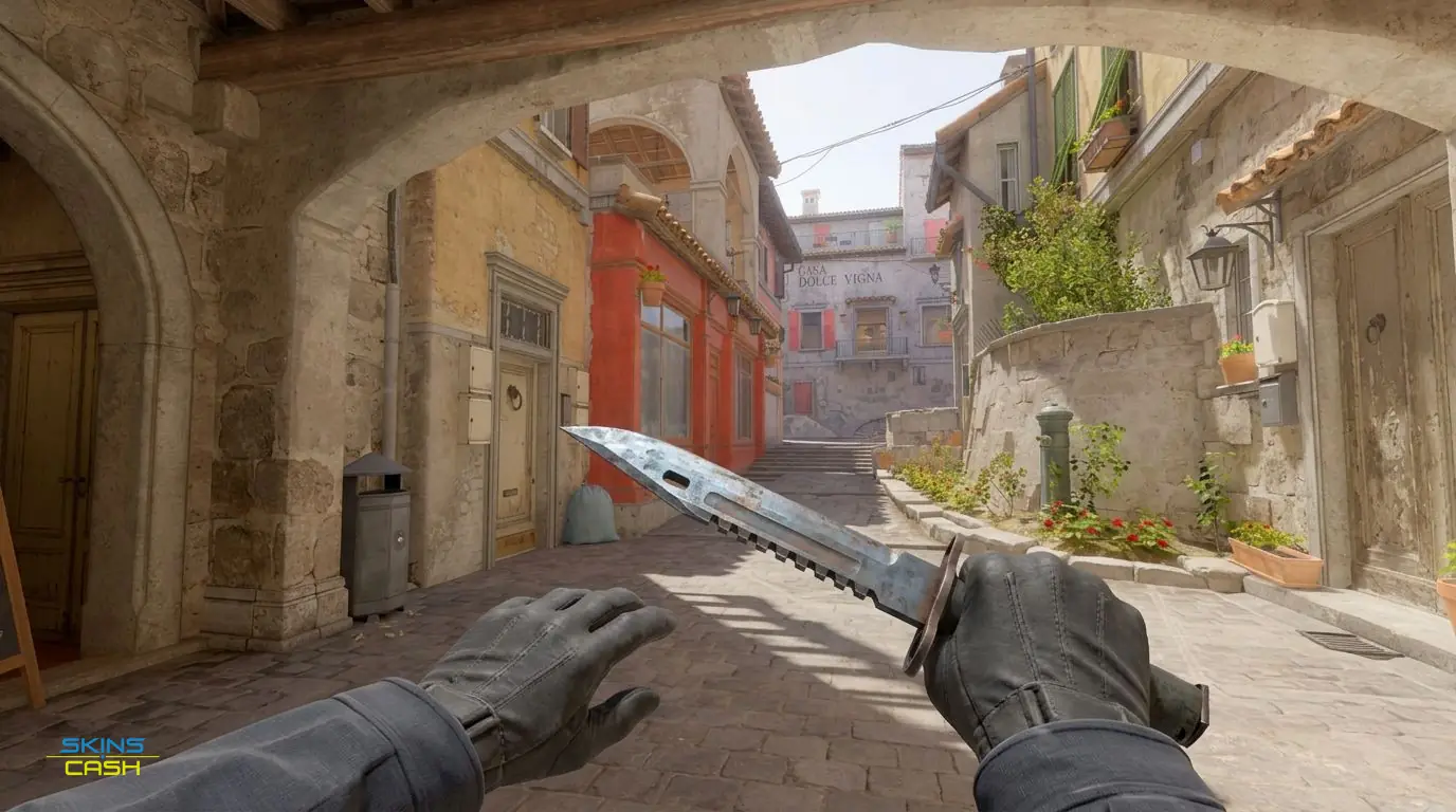 ★ M9 Bayonet | Rust Coat — In-game inspect