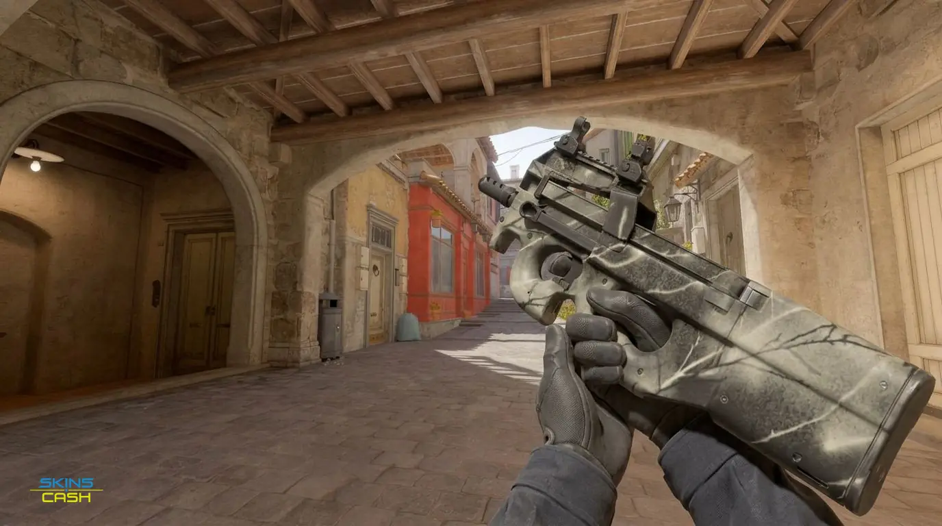 P90 | Ash Wood — In-game inspect