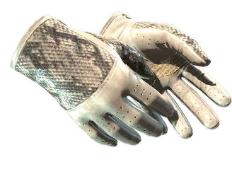 ★ Driver Gloves | King Snake image