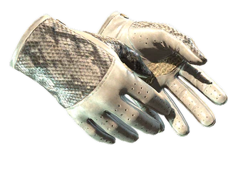 ★ Driver Gloves | King Snake