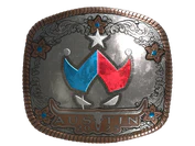 Sticker | Wildcard (Foil) | Austin 2025 image