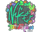 Sticker | NiKo (Holo) | Budapest 2025 image