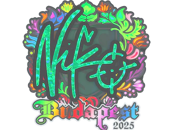 Sticker | NiKo (Holo) | Budapest 2025 image