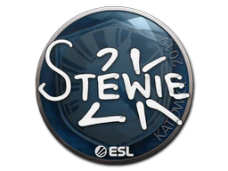 Sticker | Stewie2K | Katowice 2019 image