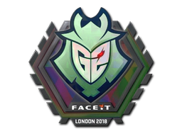 Sticker | G2 Esports (Holo) | London 2018 image