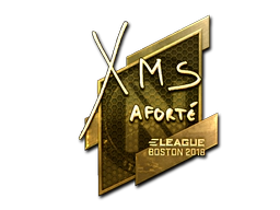 Sticker | xms (Gold) | Boston 2018 image