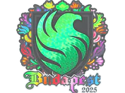 Sticker | Falcons (Holo) | Budapest 2025 image