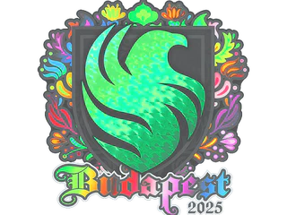 Sticker | Falcons (Holo) | Budapest 2025